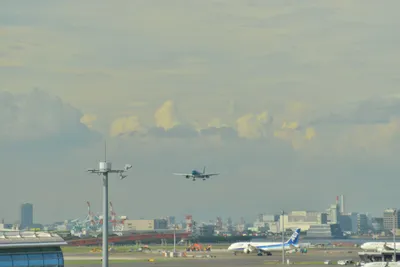 DSC_4044 (Large).JPG